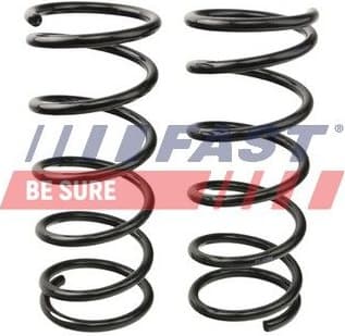 Suspension Set, springs FT12269K
