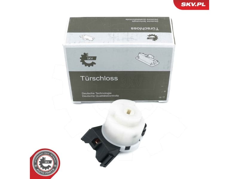 Ignition Switch 65SKV009