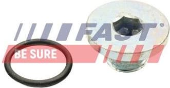 Screw Plug, automatic transmission casing FT94745