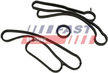 Seal Ring, oil cooler (lubrication) FT48938