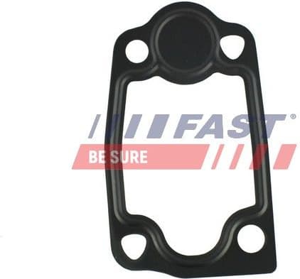 Gasket, thermostat housing FT49903