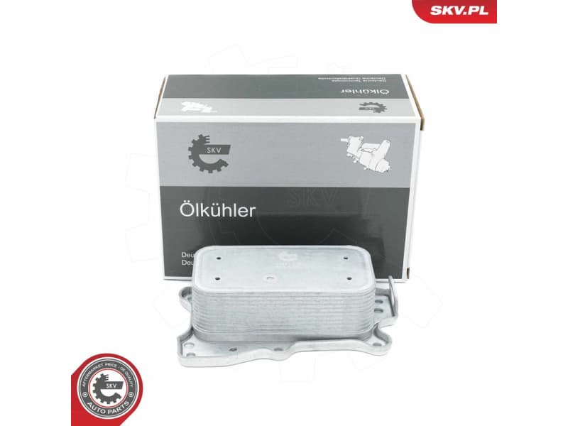 Oil Cooler, engine oil 31SKV219
