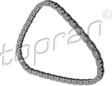 Timing Chain 117 861