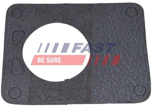 Gasket, vacuum pump FT49901