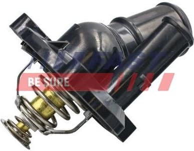 Thermostat, coolant FT58029