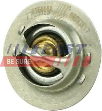 Thermostat, coolant FT58009