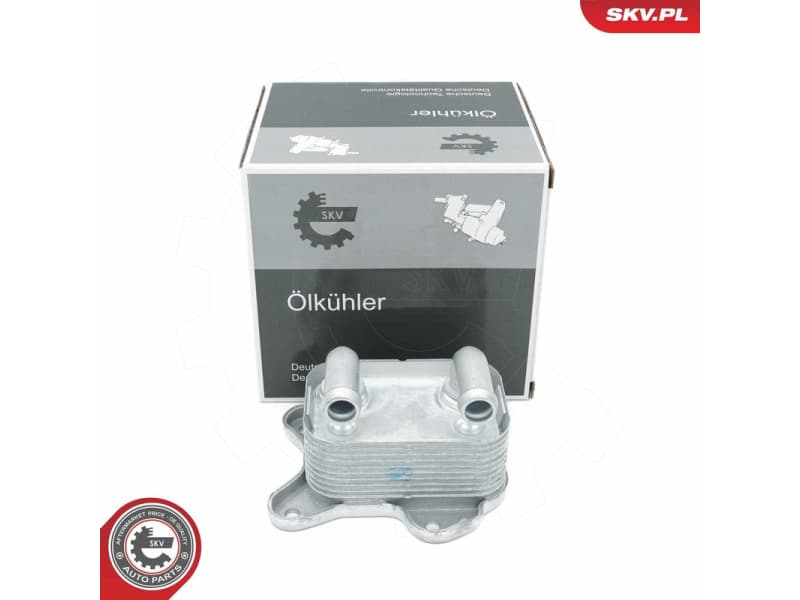 Oil Cooler, engine oil 31SKV229