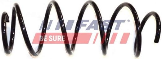 Suspension Spring FT12245