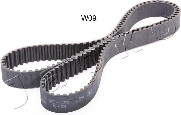 Timing Belt 40W09