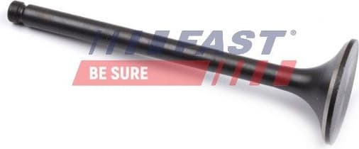 Exhaust Valve FT50127