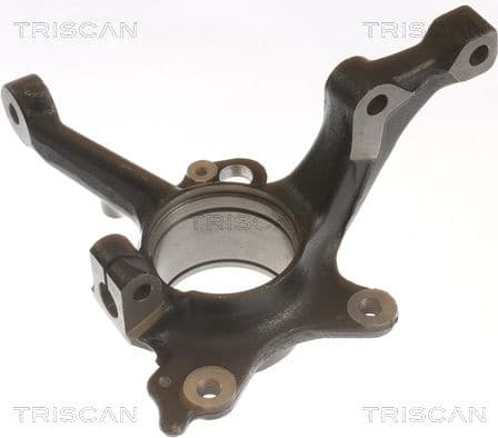 Steering Knuckle, wheel suspension 8500 29717