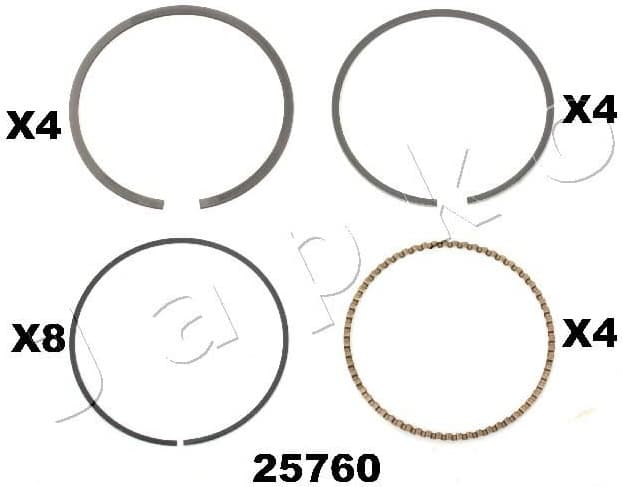 Piston Ring 425760J