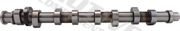 Camshaft T2184