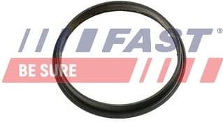 Gasket, vacuum pump FT49853 - image 2