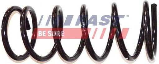 Suspension Spring FT12269