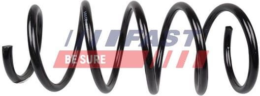 Suspension Spring FT12227