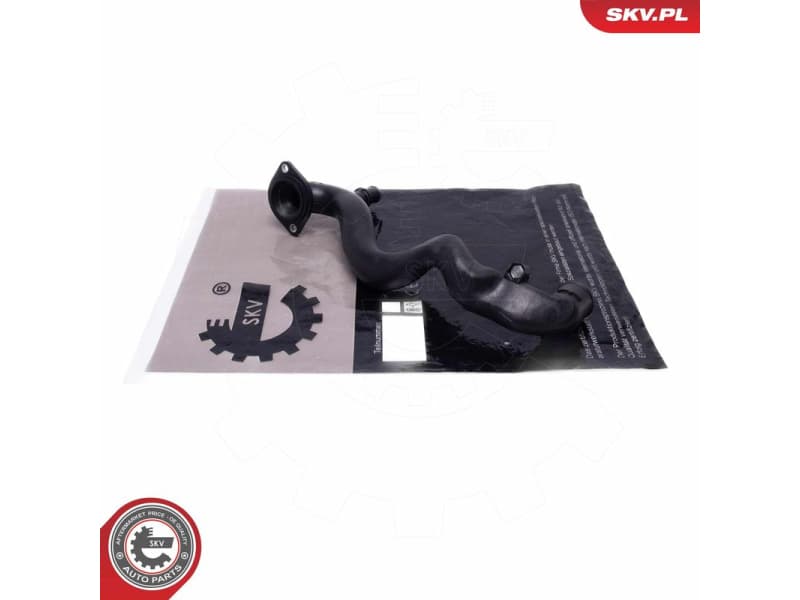 Coolant Pipe 54SKV433