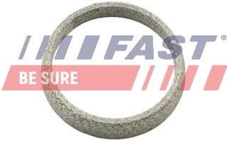 Seal Ring, exhaust pipe FT84823