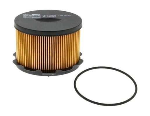 Filter diesel fuel CFF100250