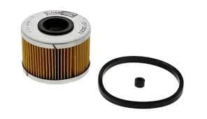 Filter diesel fuel CFF100252
