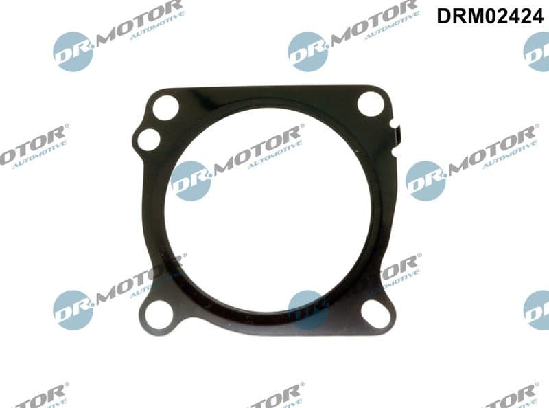Gasket, throttle body DRM02424