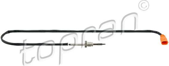 Sensor, exhaust gas temperature 116 969