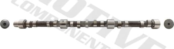 Camshaft T2013