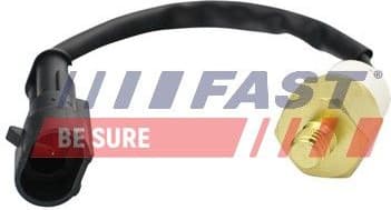 Temperature Switch, coolant warning lamp FT80157