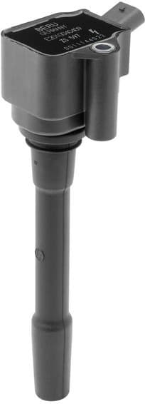 ZS597 (BorgWarner (BERU)) - image 2