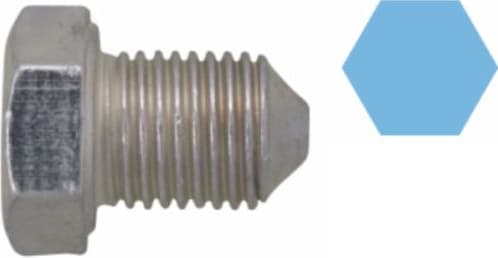 Screw Plug, oil sump 220060H - image 3