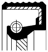 Shaft Seal, crankshaft 20019853B - image 2