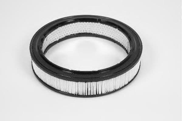 Filter air CAF100102R