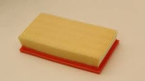 Filter air CAF100633P