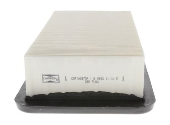 Filter air CAF100873P