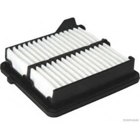 Filter air CAF100880P