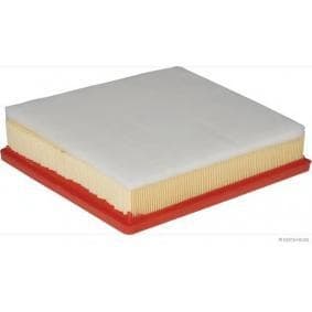 Filter air CAF100769P