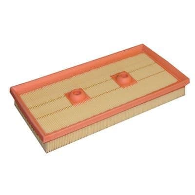 Filter air CAF100869P