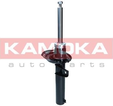 Shock Absorber 2000474