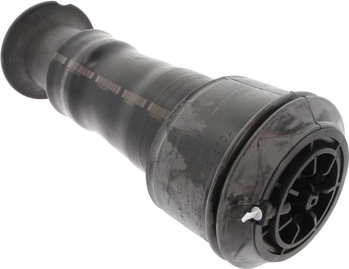 Air Spring, suspension 49430544 - image 3