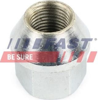 Wheel Nut FT21530