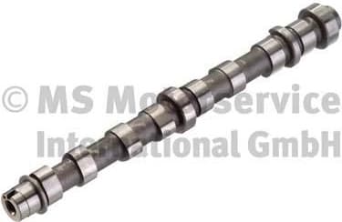Camshaft 50007106