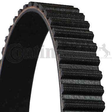 Timing Belt CT613 - image 2