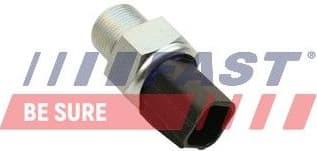 Switch, reverse light FT81011