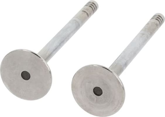 Exhaust Valve 550768B - image 3