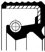 Shaft Seal, differential 01031578B