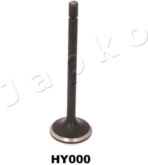 Intake Valve 5HY000