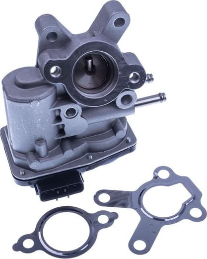 EGR Valve E400085
