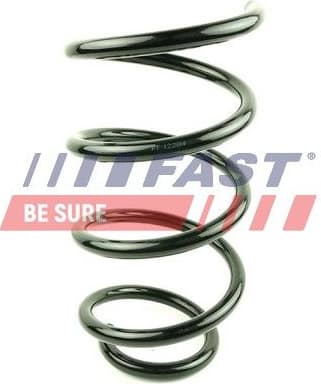 Suspension Spring FT12284