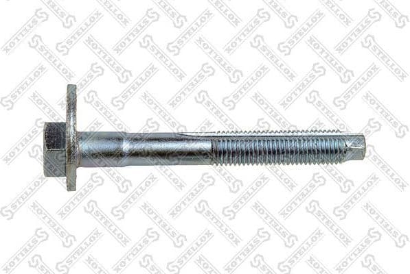 Camber Correction Screw 79-01166-SX