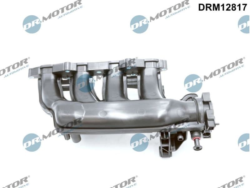 Intake Manifold Module DRM12817